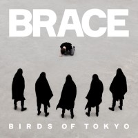 Birds Of Tokyo / Brace