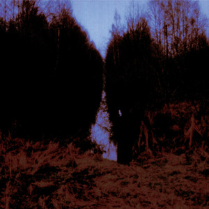 album by Opeth - My Arms Your Hearse